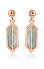 Luna Rose Gold Earrings